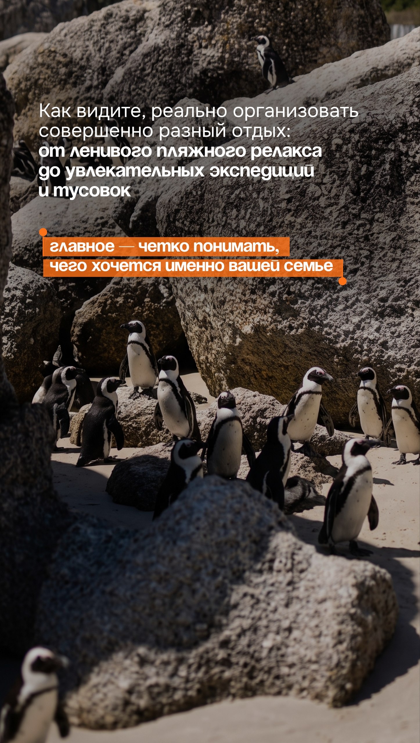Фото из публикации Онлайнтурс